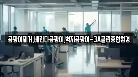 곰팡이제거,베란다곰팡이,벽지곰팡이-3A클린종합환경