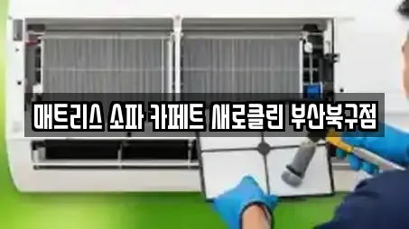 매트리스 소파 카페트 새로클린 부산북구점