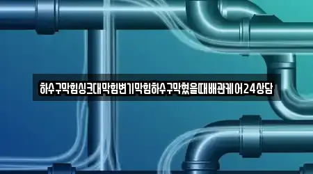 하수구막힘싱크대막힘변기막힘하수구막혔을때배관케어24상담
