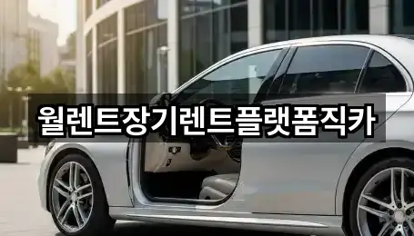 주소 브리핑: 경기 양주 회정동 장기렌트카 1곳
