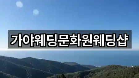 네이버지도 | 광양시 중군동 웨딩드레스 1곳