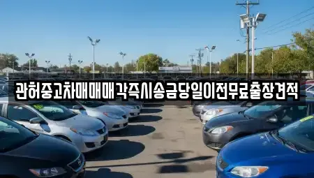 강원 강릉시 회산동 중고차매매 전문 관허중고차매매매각즉시송금당일이전무료출장견적