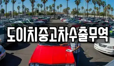 강원 강릉시 회산동 중고차매매 전문 도이치중고차수출무역