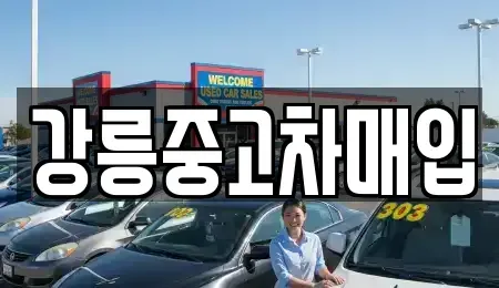 강원 강릉시 회산동 중고차매입 전문 강릉중고차매입
