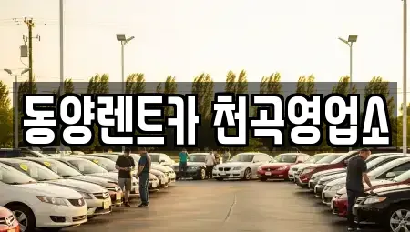 강원특별자치도 동해시 효가동 렌트카 전문 동양렌트카 천곡영업소