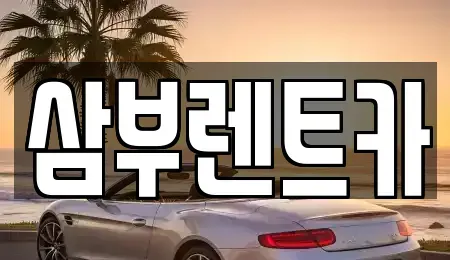 경기 구리시 인창동 렌트카 전문 삼부렌트카