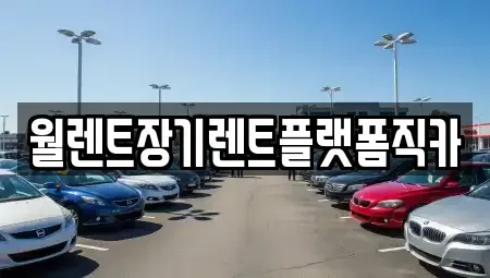 경기도 군포시 장기렌트카 전문 월렌트장기렌트플랫폼직카