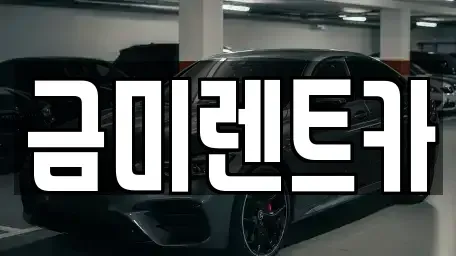 경기도 부천시 오정구 고강동 렌트카 전문 금미렌트카
