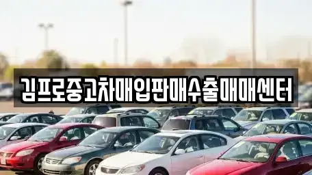 경기도 부천시 오정구 고강동 중고차매입 전문 김프로중고차매입판매수출매매센터