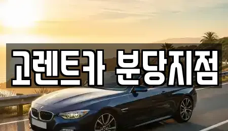 경기도 수원시 팔달구 교동 단기렌트카 전문 고렌트카 분당지점
