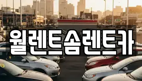 경기도 수원시 팔달구 교동 렌트카 전문 월렌트솜렌트카