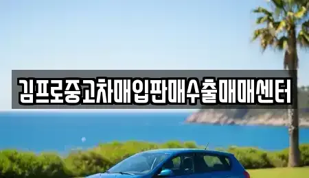 경기도 수원시 팔달구 교동 중고차매매 전문 김프로중고차매입판매수출매매센터