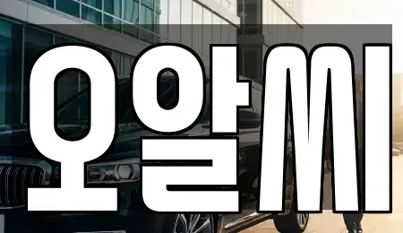 경기도 안양시 만안구 안양동 장기렌트카 전문 오알씨