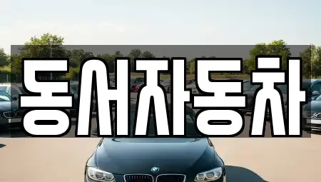 경남 창원시 마산합포구 덕동동 중고차 전문 동서자동차