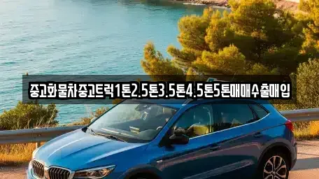 경북 상주시 오대동 단기렌트카,중고차매입,중고차매매,중고차,렌트카,장기렌트카