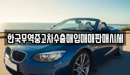 경상남도 창원시 성산구 중앙동 중고차매입 전문 한국무역중고차수출매입매매판매시세