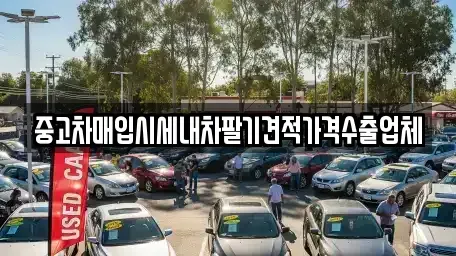 경상남도 창원시 진해구 풍호동 중고차매입 전문 중고차매입시세내차팔기견적가격수출업체