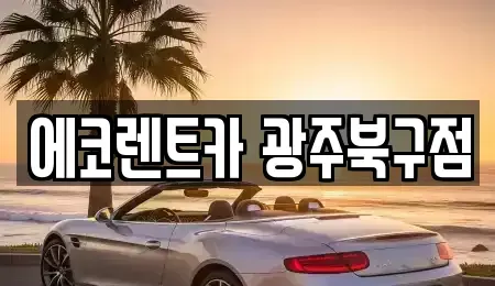 광주 북구 우산동 장기렌트카 전문 에코렌트카 광주북구점