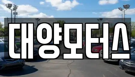 광주 북구 우산동 중고차매매 전문 대양모터스