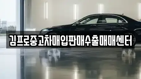 광주광역시 동구 금남로3가 중고차매매 전문 김프로중고차매입판매수출매매센터