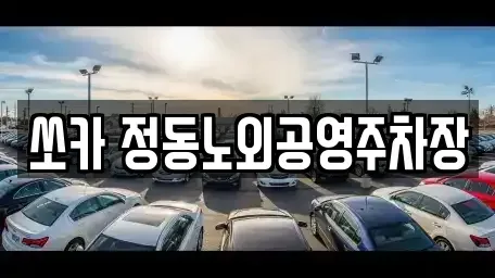대전 동구 정동 렌트카 전문 쏘카 정동노외공영주차장