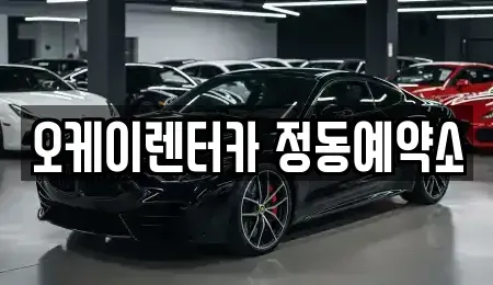 대전 동구 정동 렌트카,단기렌트카,장기렌트카,중고차,중고차매매,중고차매입