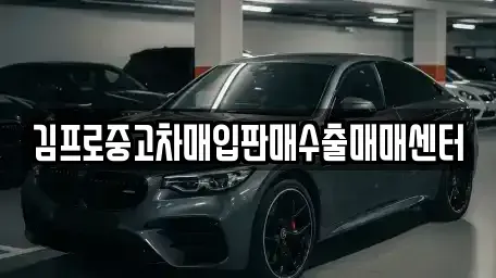 대전 동구 정동 중고차 전문 김프로중고차매입판매수출매매센터