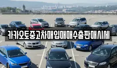 서울 중구 봉래동1가 중고차매입 전문 카카오토중고차매입매매수출판매시세