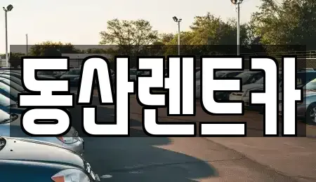 서울특별시 강남구 자곡동 렌트카 전문 동산렌트카