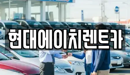 서울특별시 강남구 자곡동 렌트카 전문 현대에이치렌트카