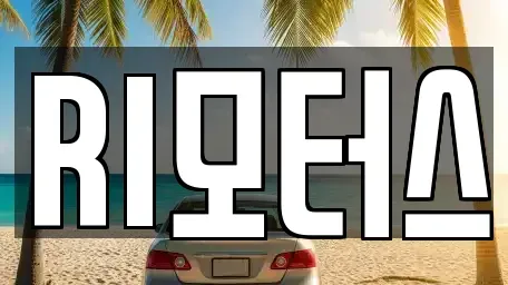 서울특별시 강남구 자곡동 중고차매매 전문 RI모터스