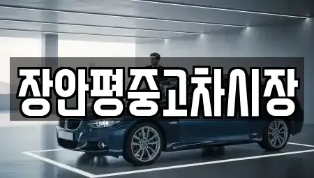 서울특별시 강남구 자곡동 중고차매매 전문 장안평중고차시장