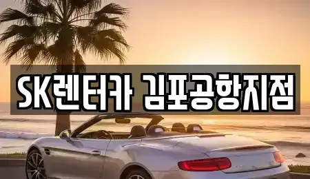 서울특별시 강서구 오곡동 렌트카 전문 SK렌터카 김포공항지점