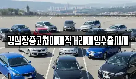 서울특별시 강서구 오곡동 중고차매매 전문 김실장중고차매매직거래매입수출시세