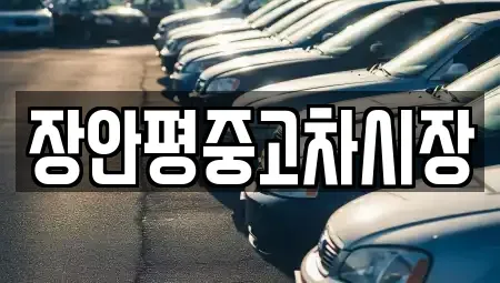 서울특별시 강서구 오곡동 중고차매매 전문 장안평중고차시장