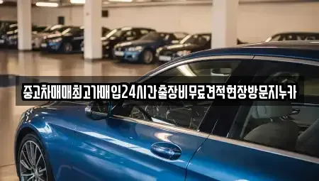 서울특별시 강서구 오곡동 중고차매입 전문 중고차매매최고가매입24시간출장비무료견적현장방문지누카