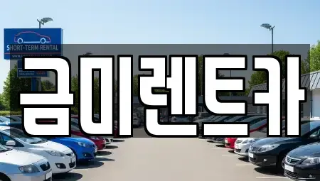 서울특별시 종로구 동숭동 렌트카 전문 금미렌트카