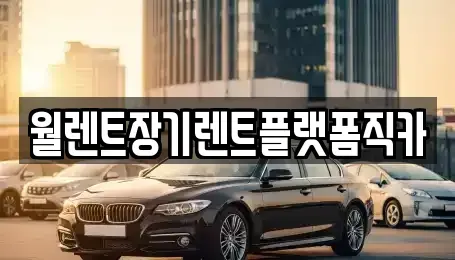 서울특별시 종로구 동숭동 장기렌트카 전문 월렌트장기렌트플랫폼직카