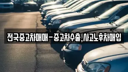 서울특별시 종로구 동숭동 중고차 전문 전국중고차매매-중고차수출,사고노후차매입