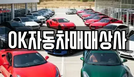 전남 여수시 봉산동 중고차 전문 OK자동차매매상사