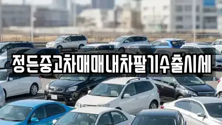 충북 보은군 회인면 중고차 전문 정든중고차매매내차팔기수출시세