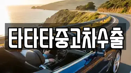 충북 보은군 회인면 중고차매매 전문 타타타중고차수출