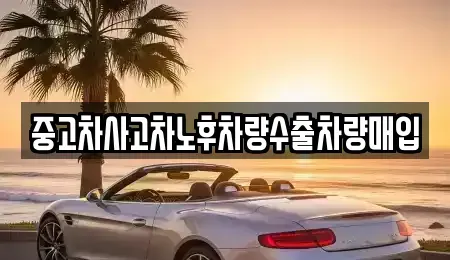 충청남도 청양군 목면 중고차 전문 중고차사고차노후차량수출차량매입